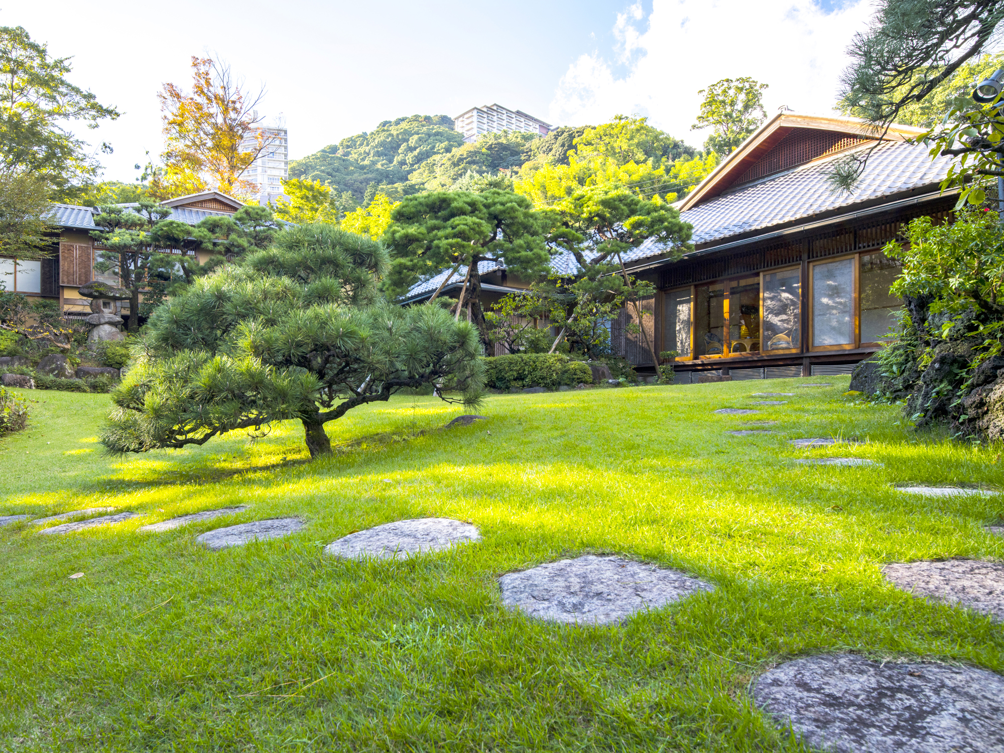 日本庭園　飛石（とびいし）