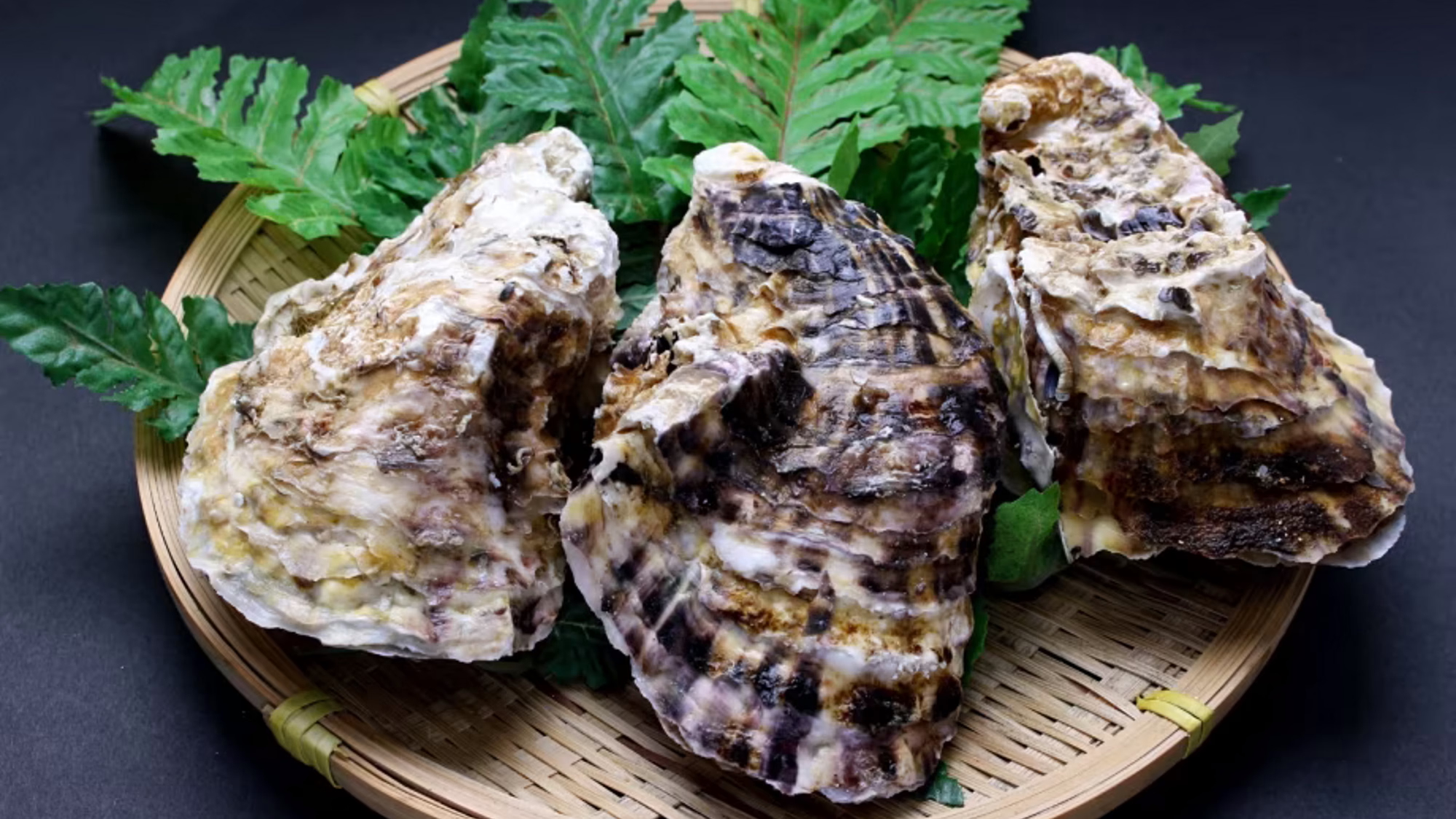 山陰夏の味覚【天然物の岩牡蠣】