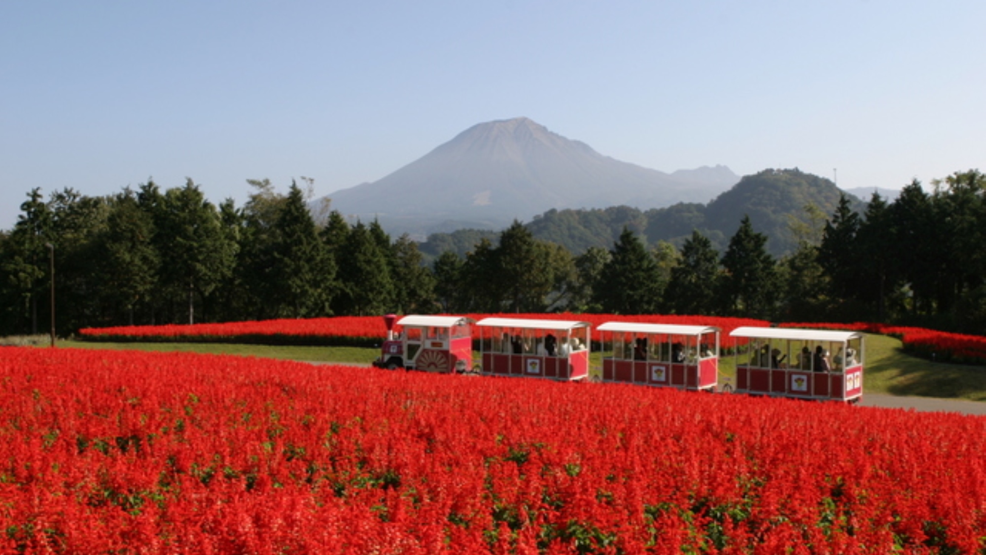 <周辺・景観>とっとり花回廊