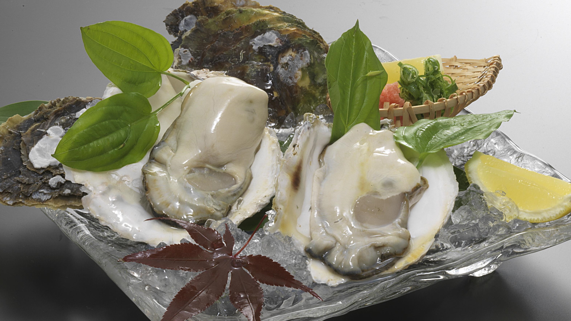 夏季限定【天然物の岩牡蠣】