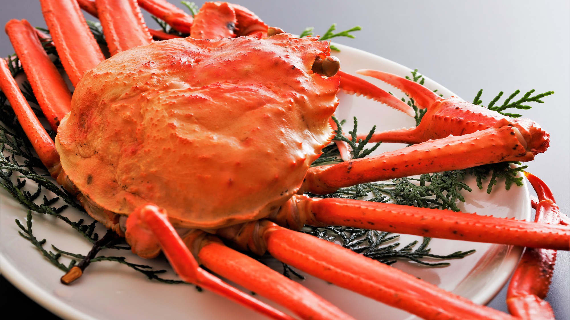 【紅ズワイガニ】