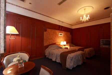 Deluxe twin room (example of guest room)