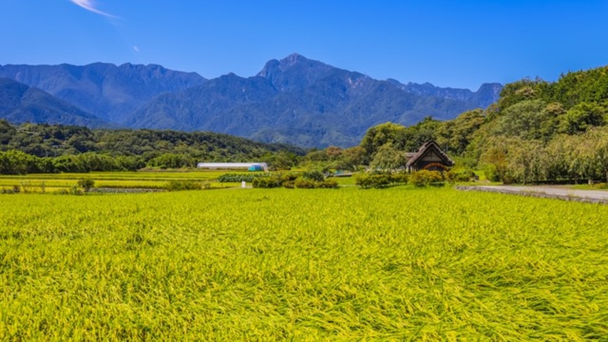 【朝食】梨北米は南アルプスの清流水・盆地ならでは寒暖差など絶好の環境の中で栽培されています。