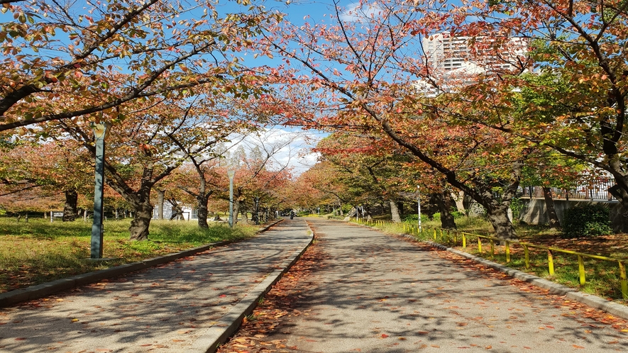 毛馬桜ノ宮公園(秋）