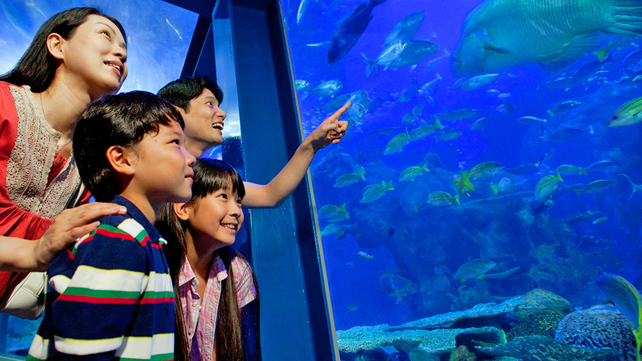 【鳥羽水族館チケット付きプラン】飼育種類“日本一”「鳥羽旅」のファミリーみんなの思い出作りに◎