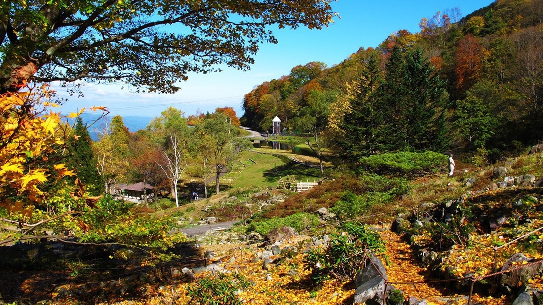 【紅葉期間限定】【湯沢高原ロープウェイ券付】標高1000mの絶景！空中散歩おでかけプラン（夕朝食付）