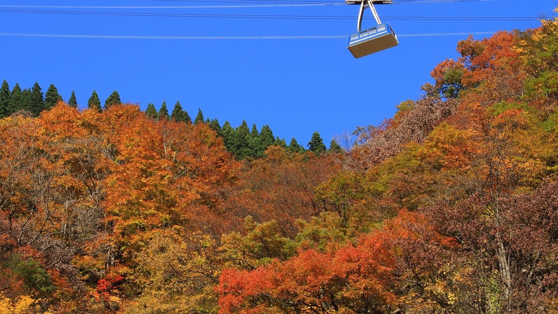 【紅葉期間限定】【湯沢高原ロープウェイ券付】標高1000mの絶景！空中散歩おでかけプラン（夕朝食付）