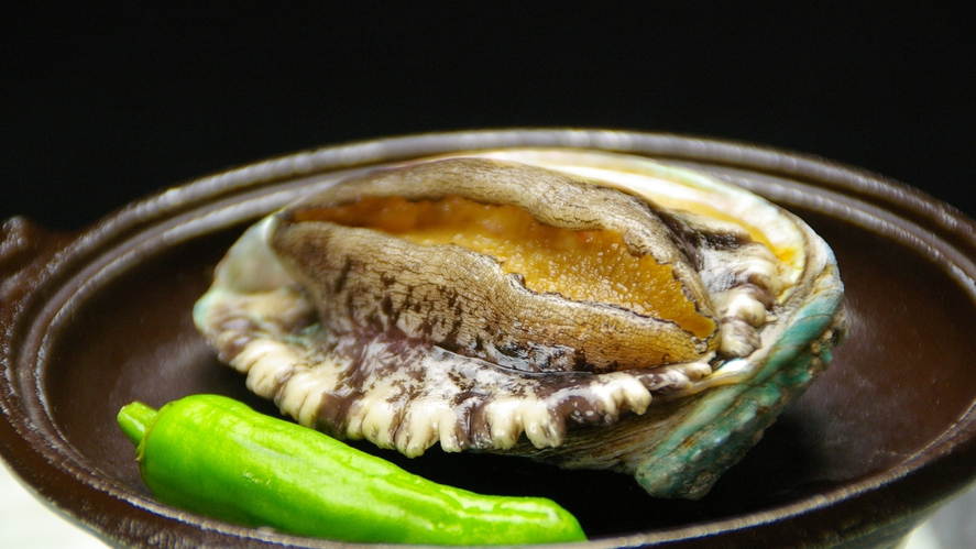 【毎月5組限定】4月〜6月はフグ料理☆西尾市周遊★一色さかな広場×松鶴園コラボ企画