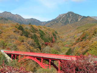 紅葉の八ヶ岳