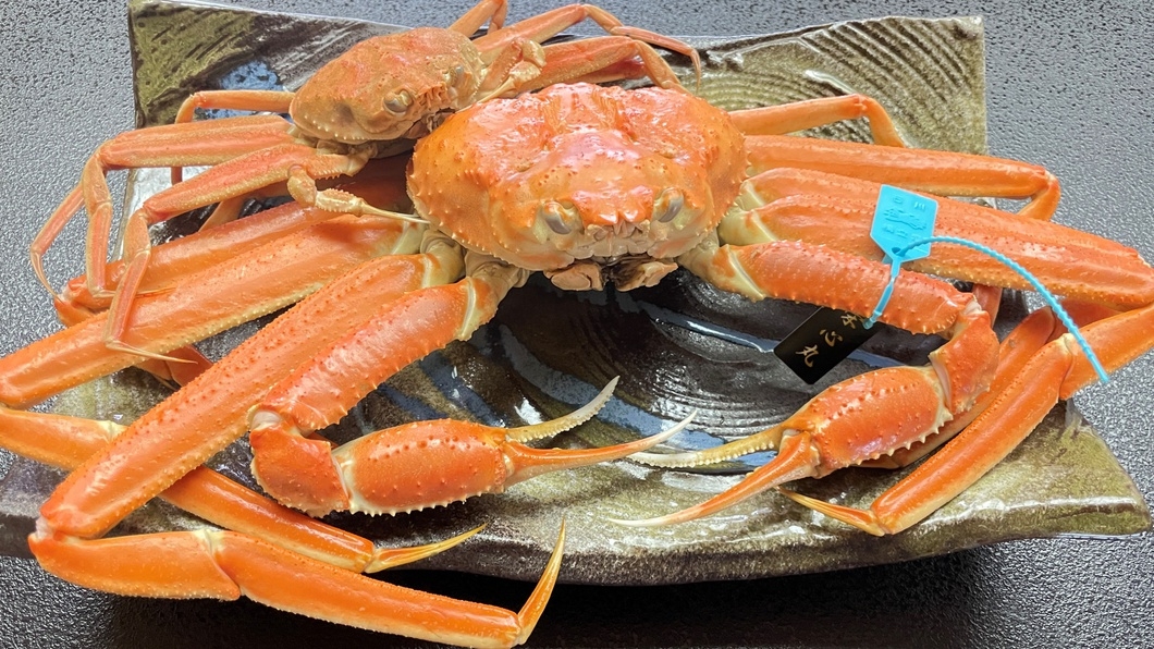 【タグ付き加能蟹】＜定番コース＞蒸しガニ1杯を2人でシェア！北陸の冬の味覚を満喫。＜夕食のみ＞