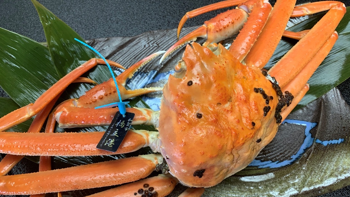 【タグ付き加能蟹】＜1人1杯蒸しガニコース＞地元産だからできる贅沢な食べ方。