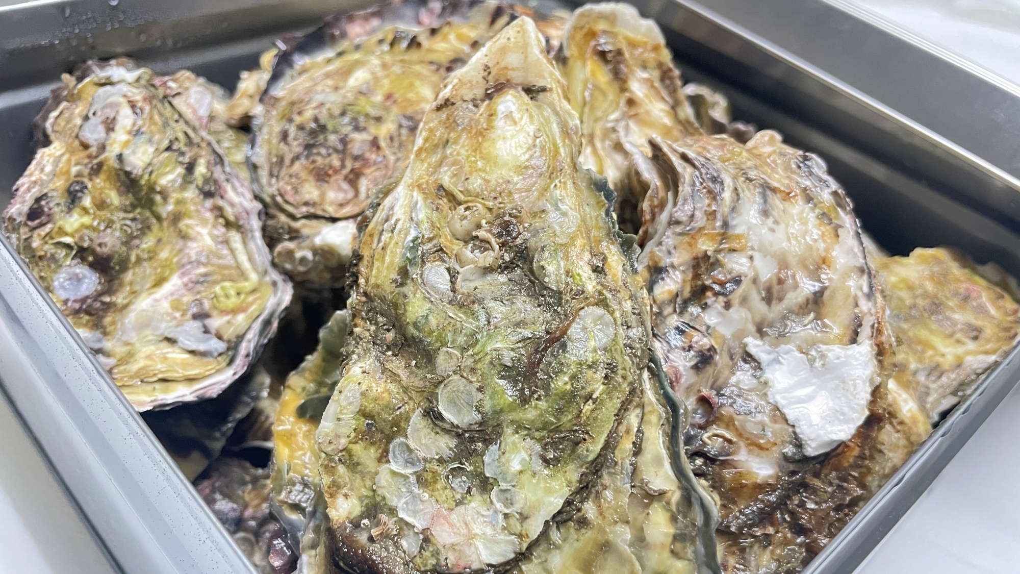 *牡蠣のガンガン焼き～濃厚な牡蠣をどうぞ～