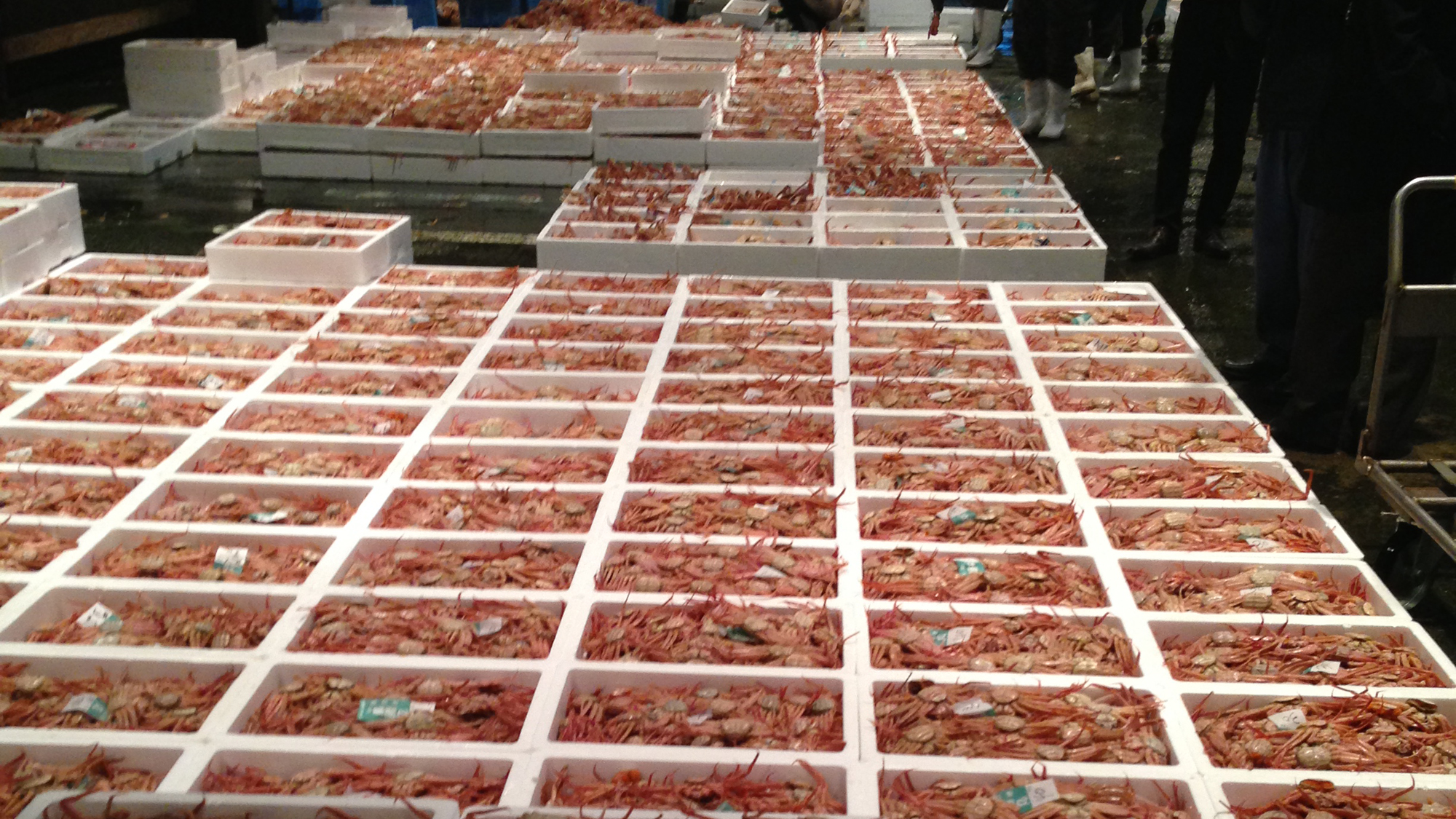 *板長自らが市場へ足を運び、食材を吟味します