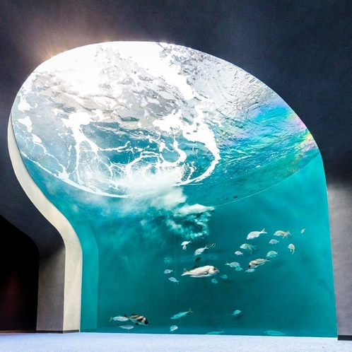 四国水族館「渦潮の景」