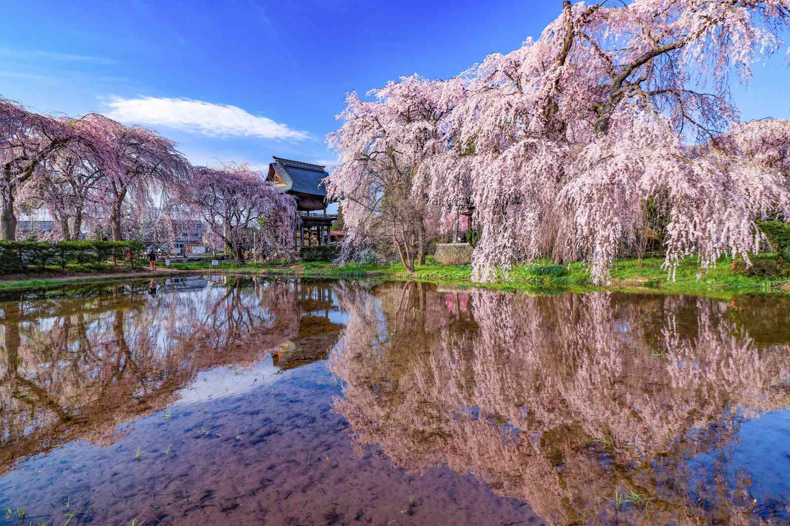 信州松本お手軽滞在♪【朝食付き】プラン