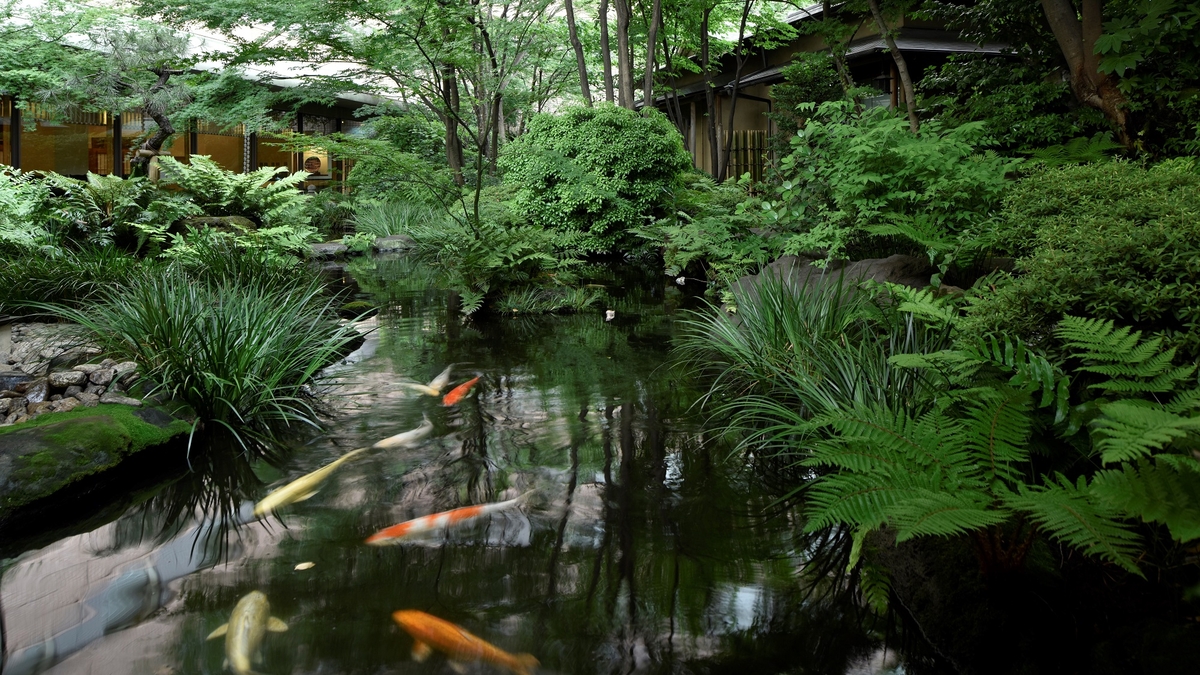 ロイヤルパークホテル(眺望・庭園)