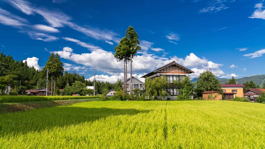 南魚沼 夏の風景