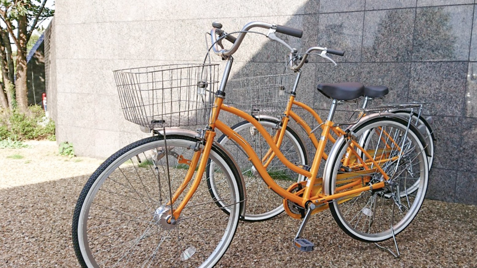 レンタサイクル（先着３台）