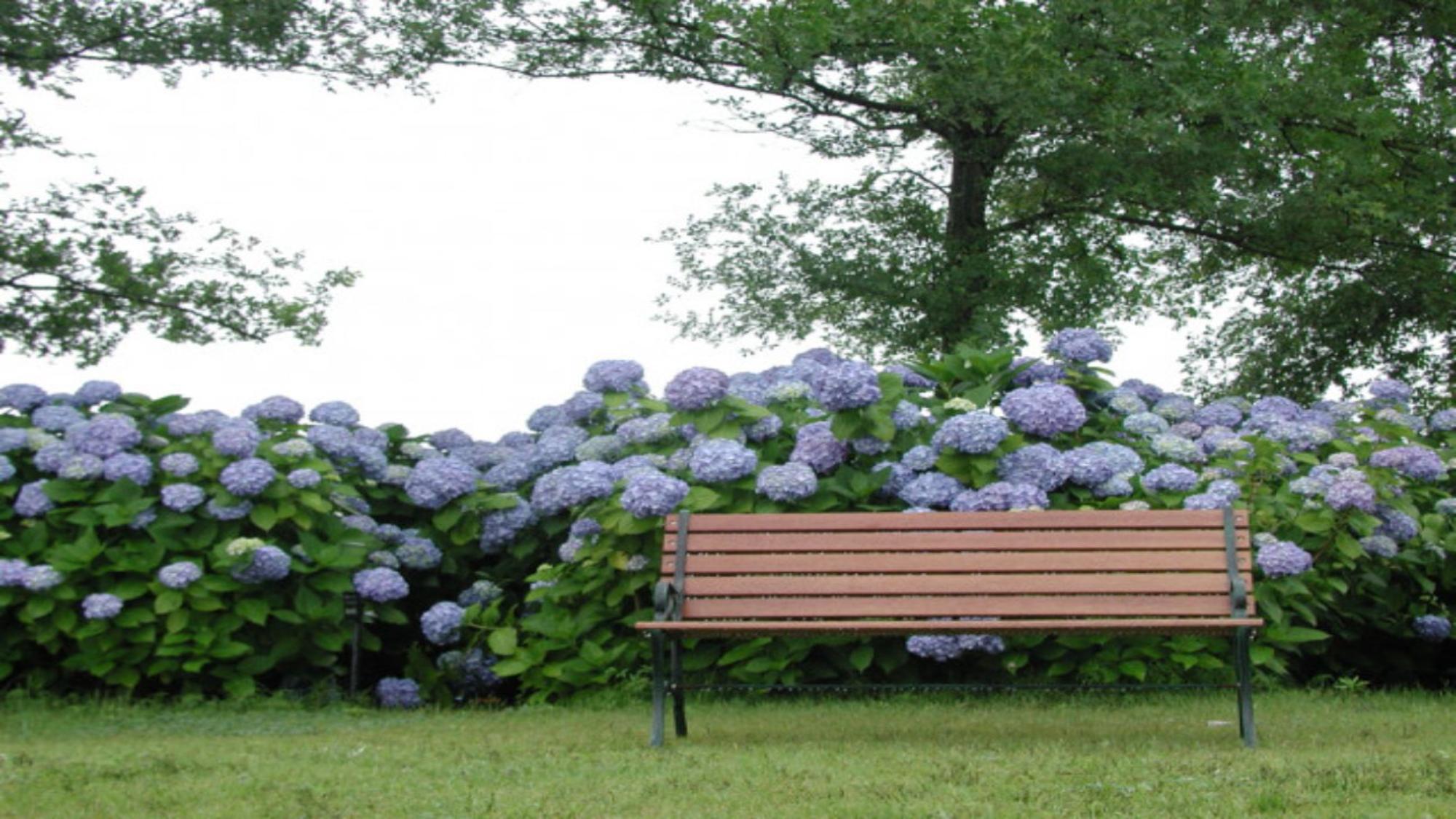 守山市立もりやま芦刈園