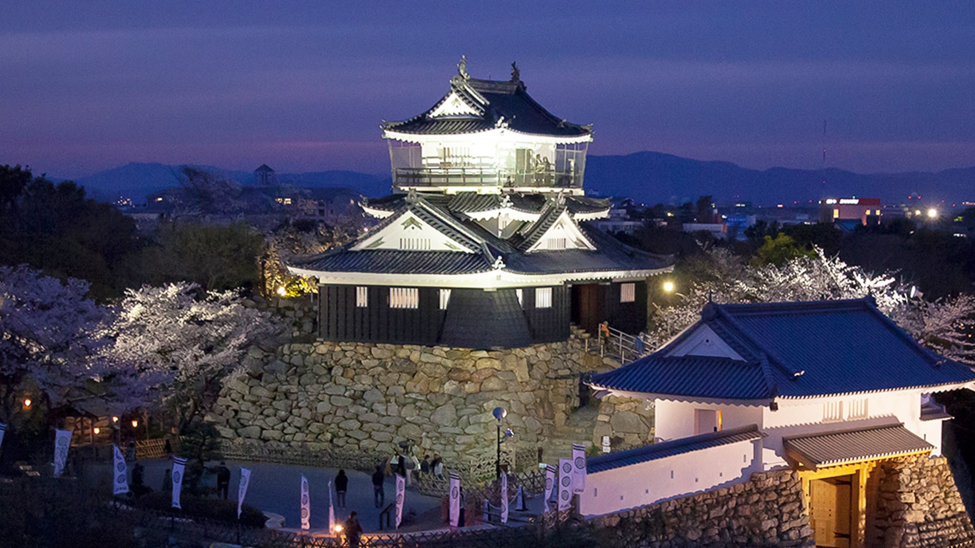 ●浜松城（夜）