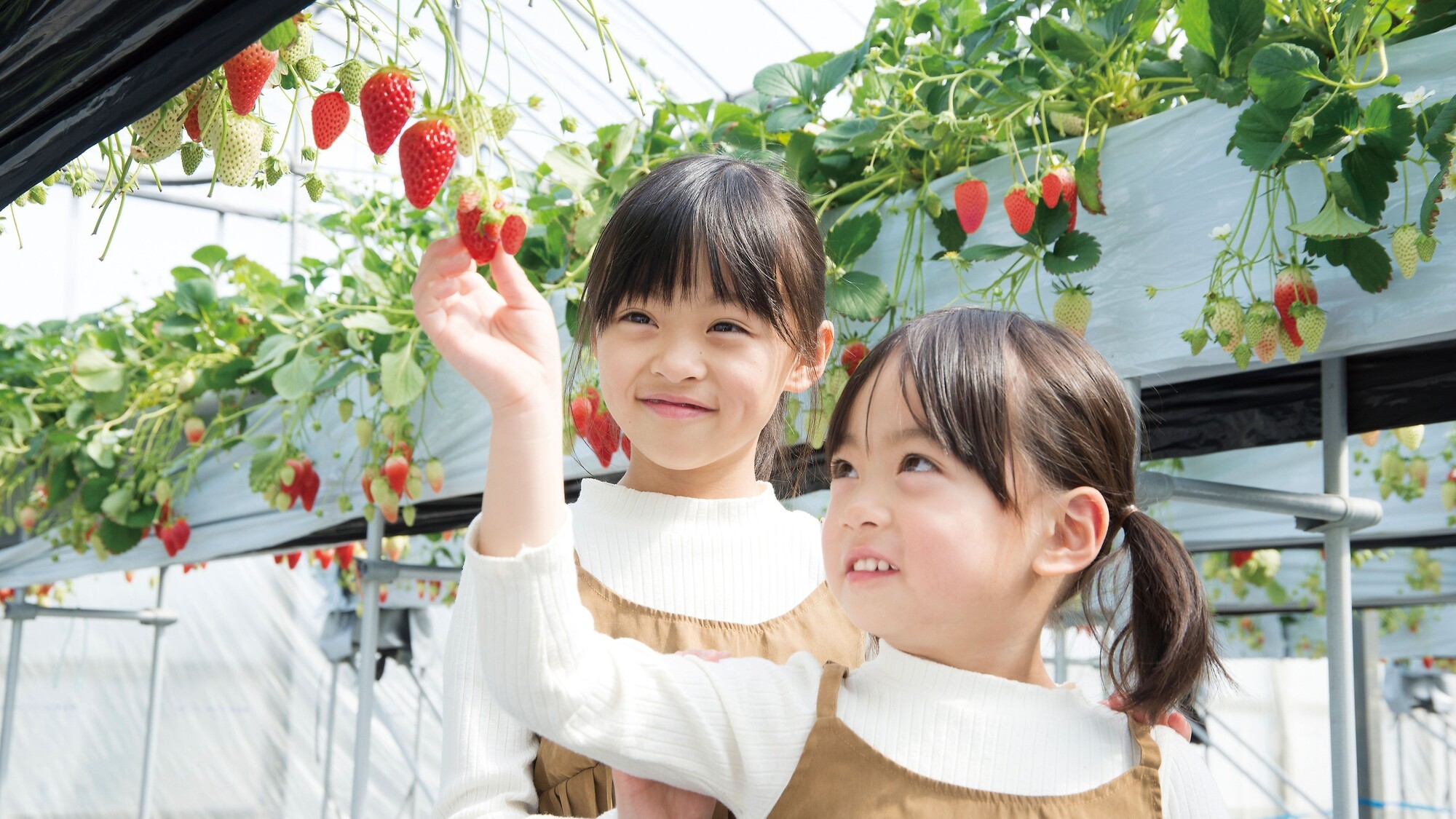 【アグリス浜名湖】