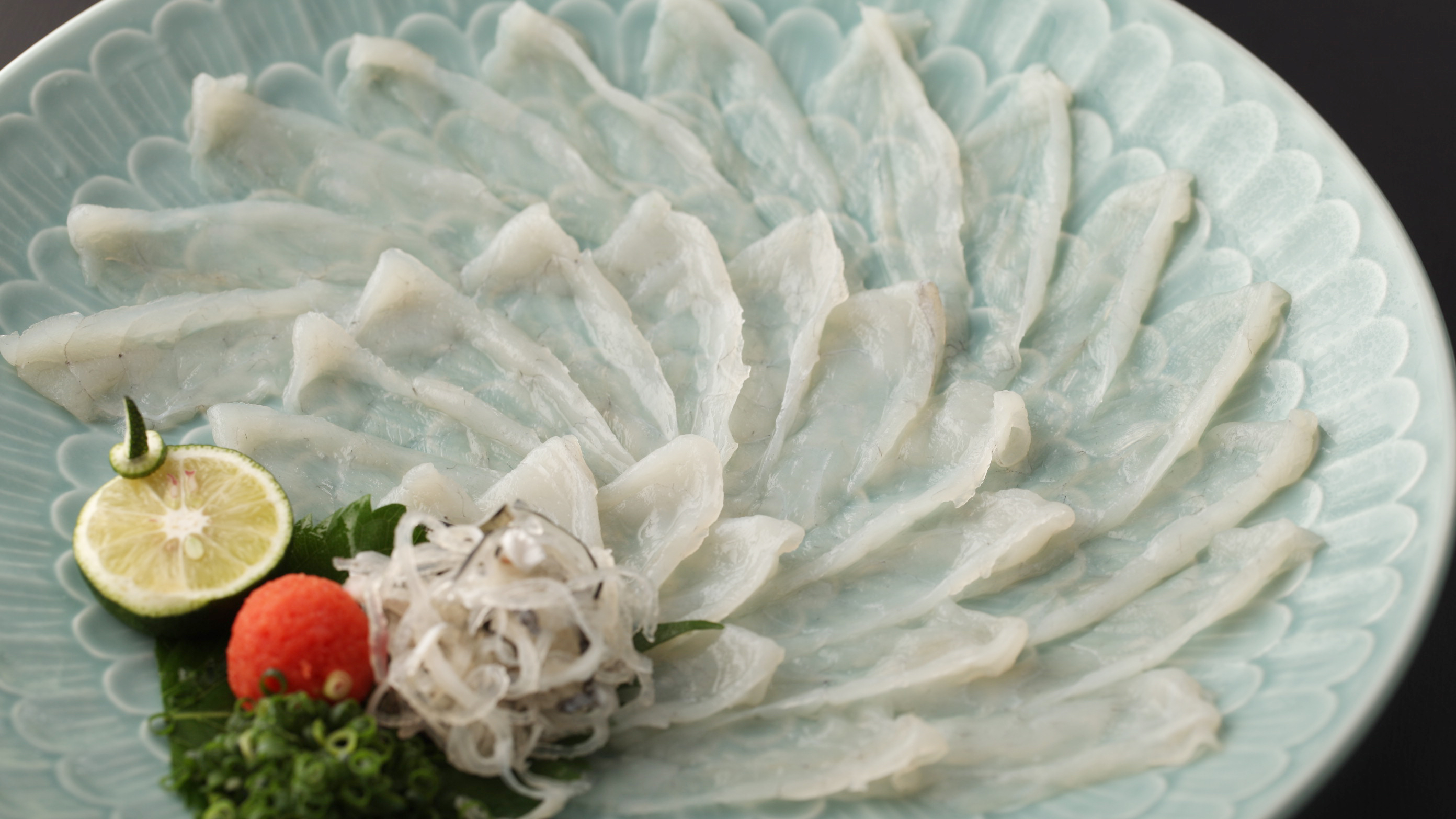 とらふく味わい会席　とらふく刺し30枚