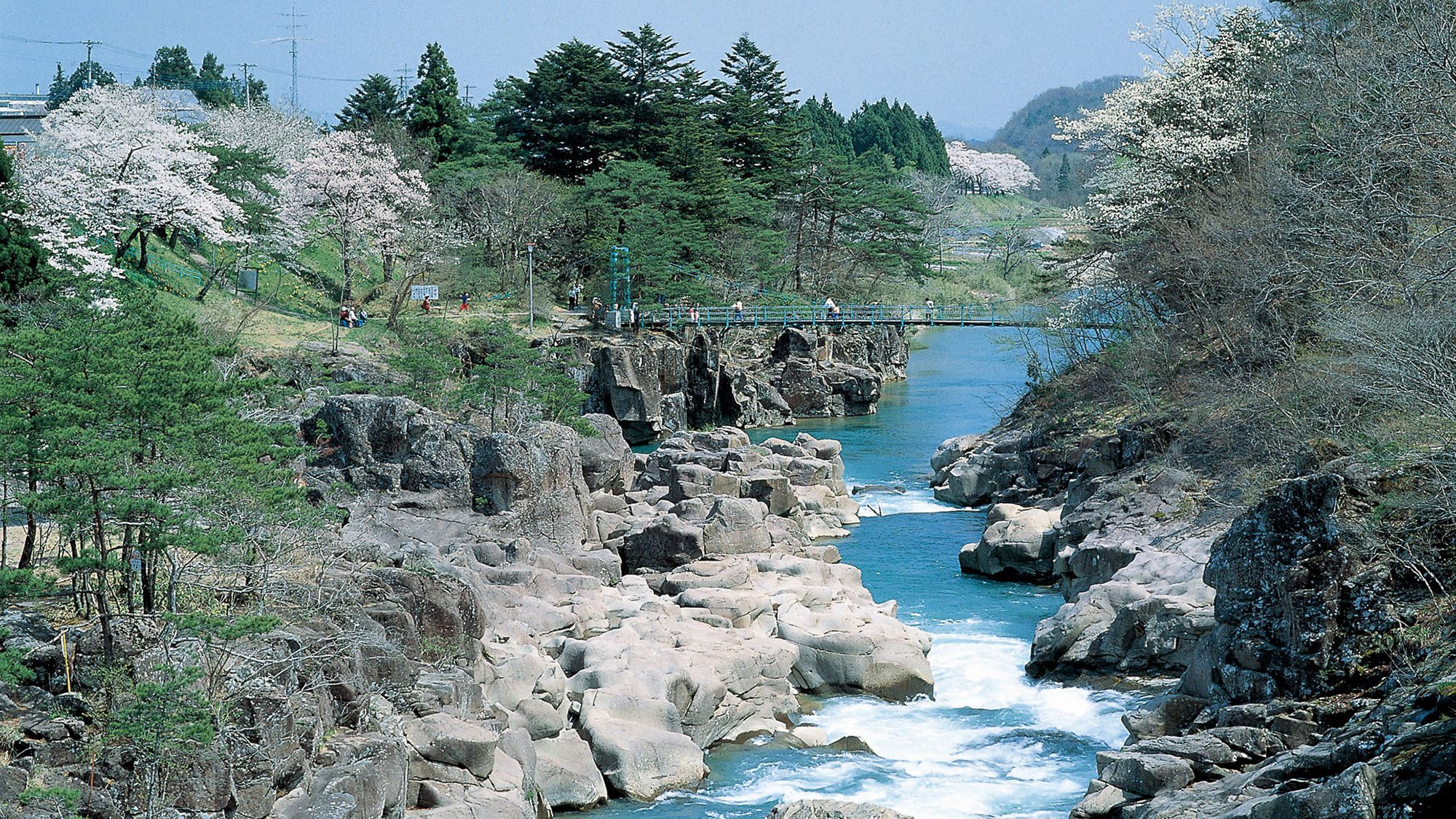 ◆厳美渓（春）