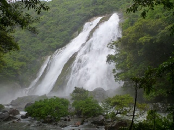 大川の滝