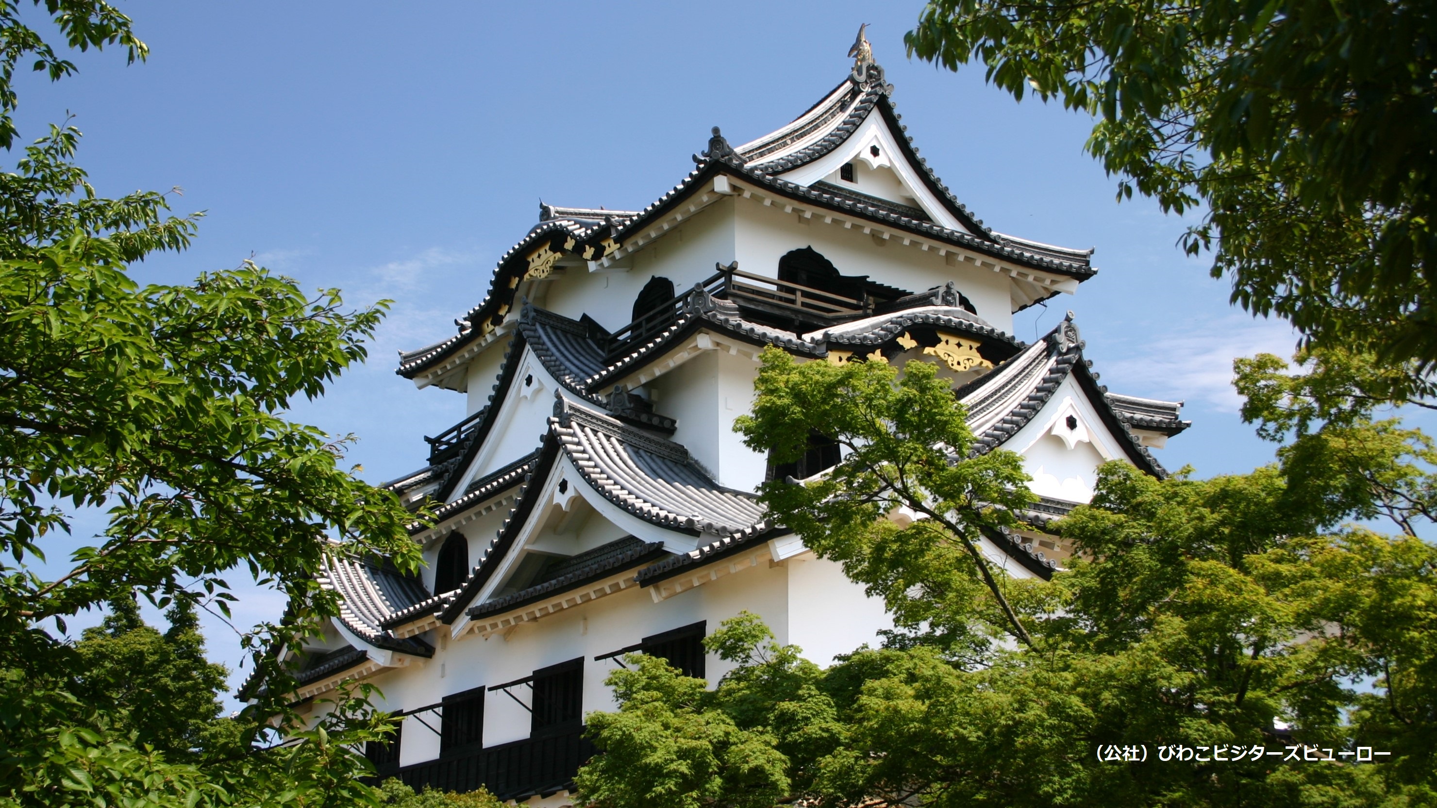 国宝・彦根城（雄山荘から車で約75分）