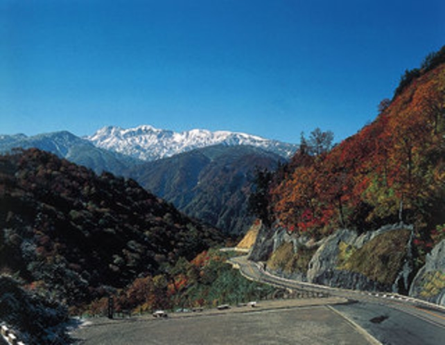 青空白山スーパー林道