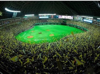 ■みずほPayPayドーム（野球）■