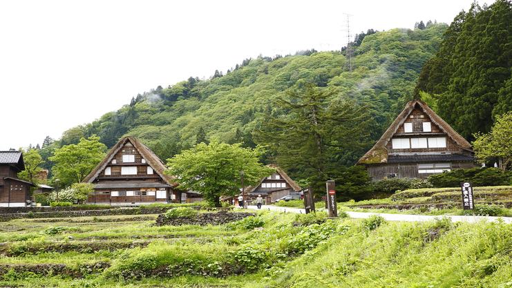 お盆8／9〜16限定【三夏プレミアムコース】富山和牛がスペシャリテ＜あぶり鮪＆スズキ＞白桃デザート