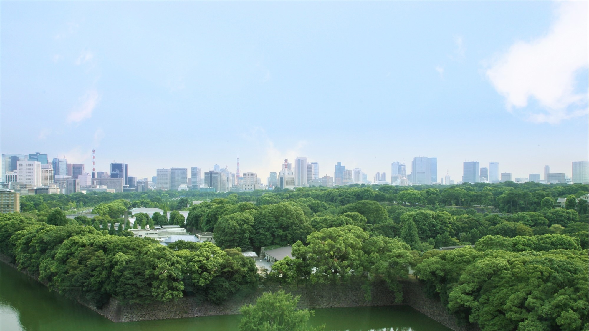 写真1