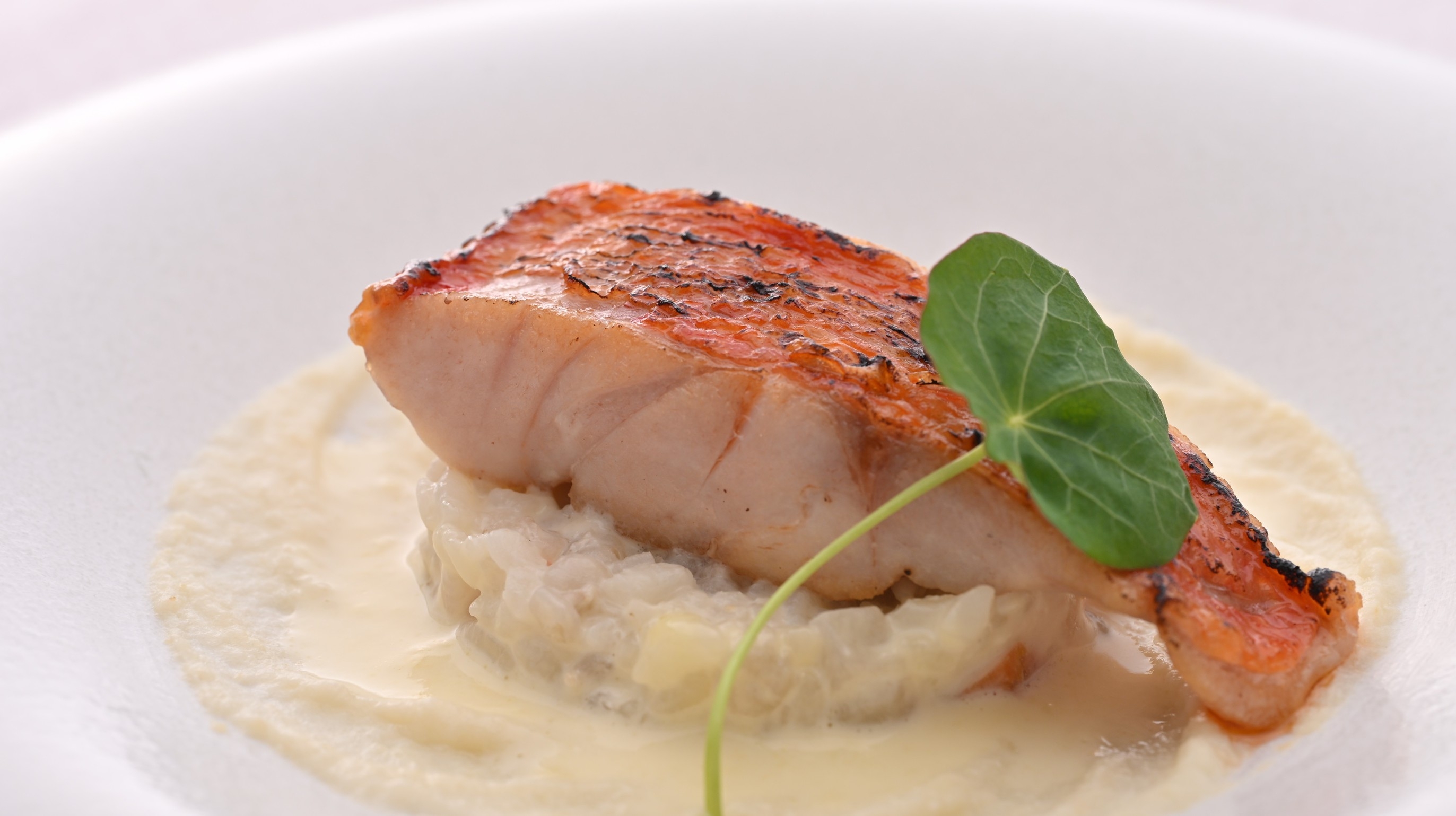 ＃特別な夜を彩る美食と夜景 ☆皇居の夜景とフレンチコースプラン ” S ” ☆ 2食付