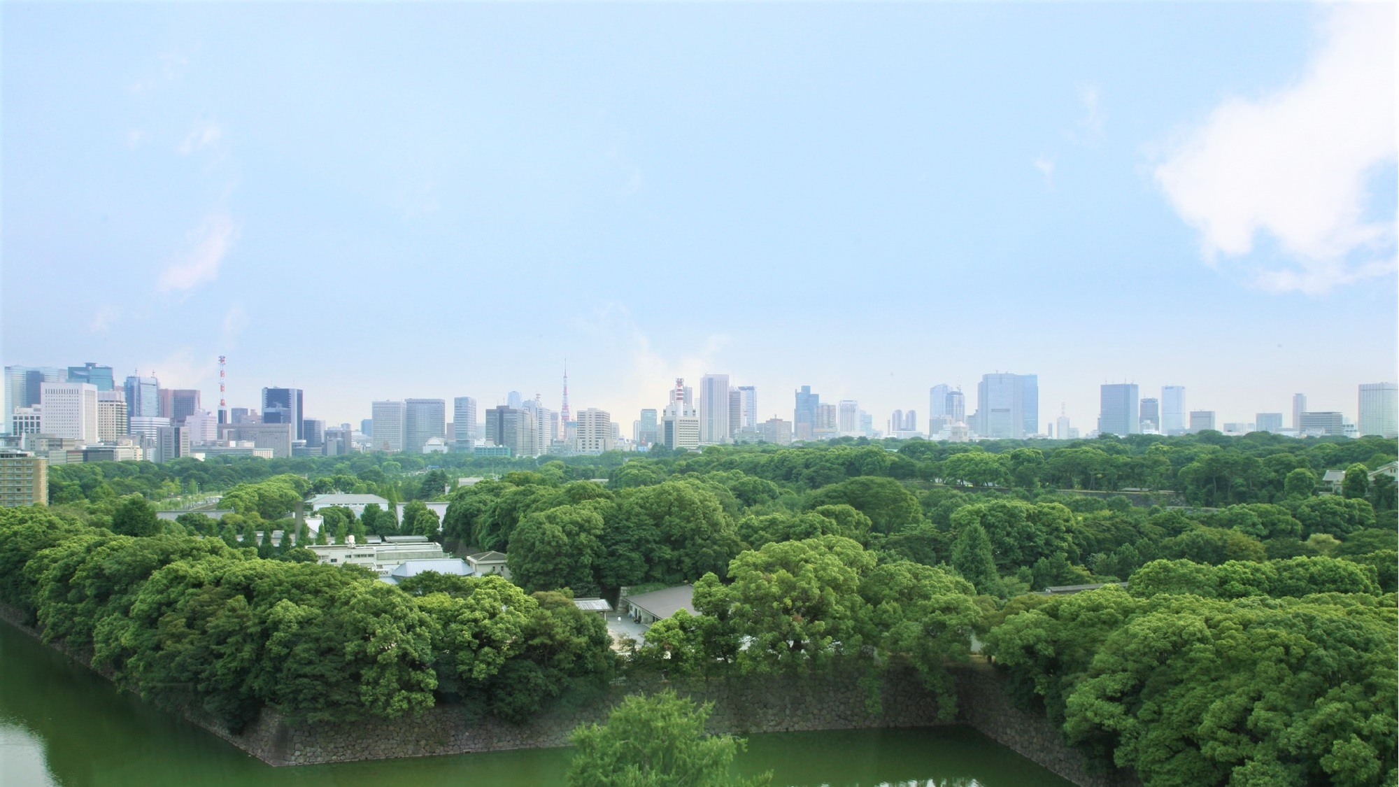 眺望：東京を彩る皇居の緑