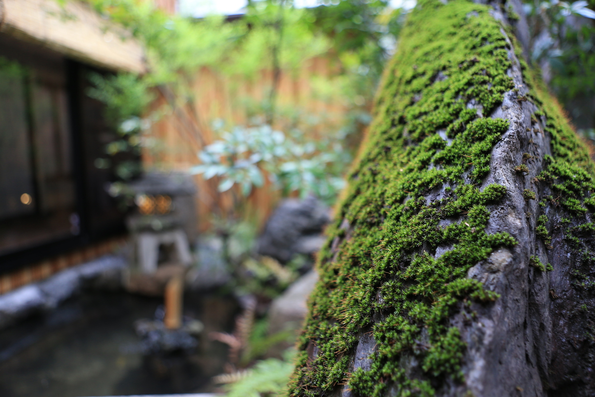 写真1