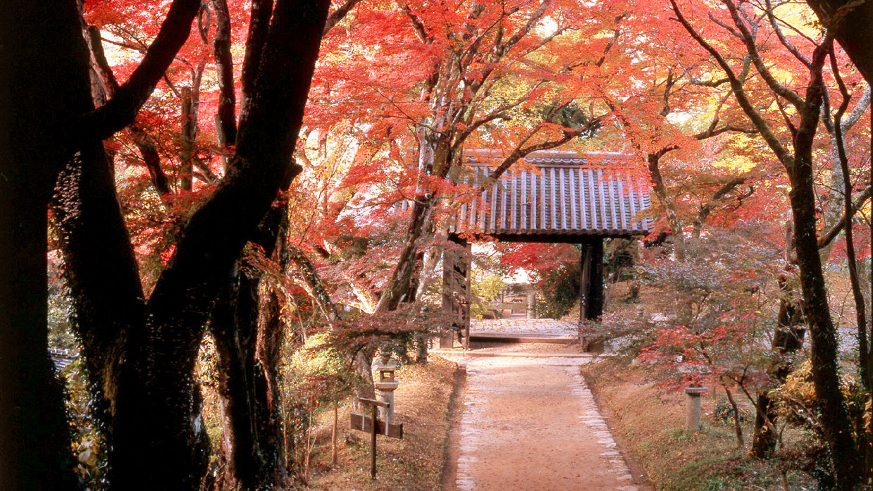 【1月・2月超直前割！3名以上お得】高評価１位会席が１４９００円〜！ファミリーやグループ旅におすすめ