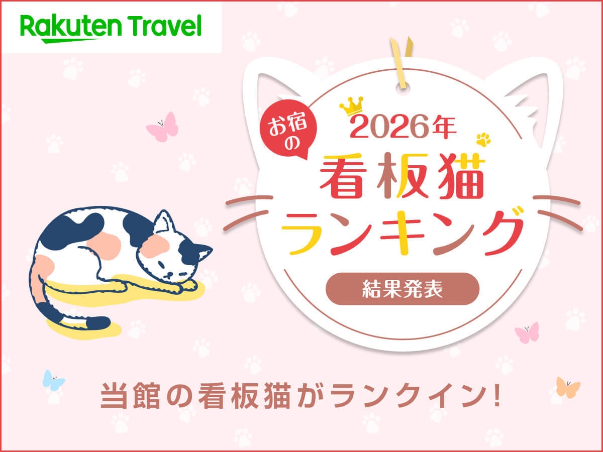 直前割【祝！看板猫ランキング受賞記念】ビ-フシチュ-を楽しむ洋食プラン5〜15％オフ+オプション特典