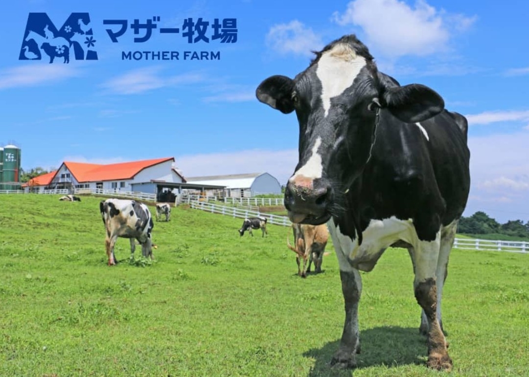 【夏休みファミリープラン】お子様料金定額9900円(食事/布団付)！お部屋食割引＆花火プレゼント付♪