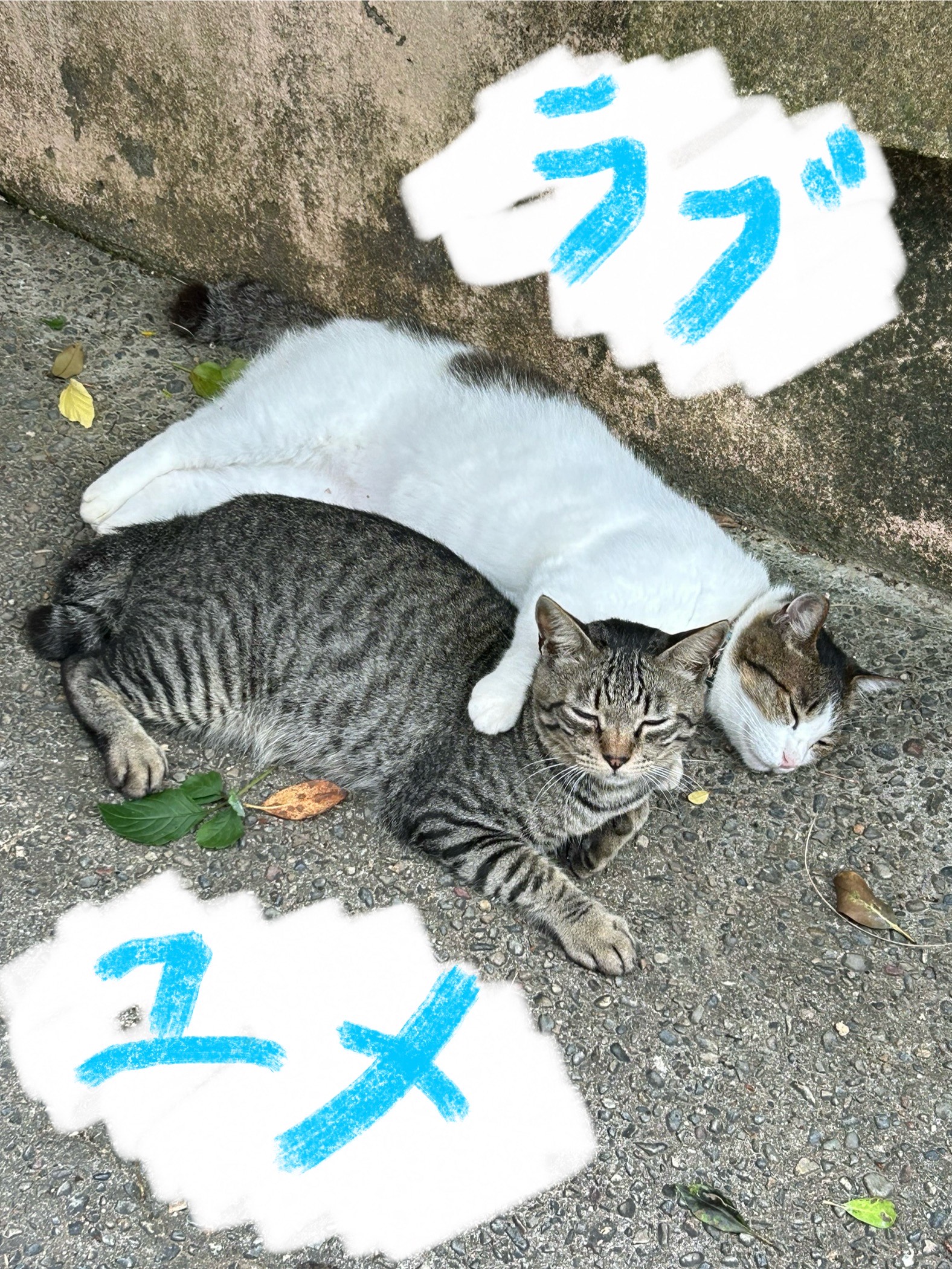 「ユメくん」
