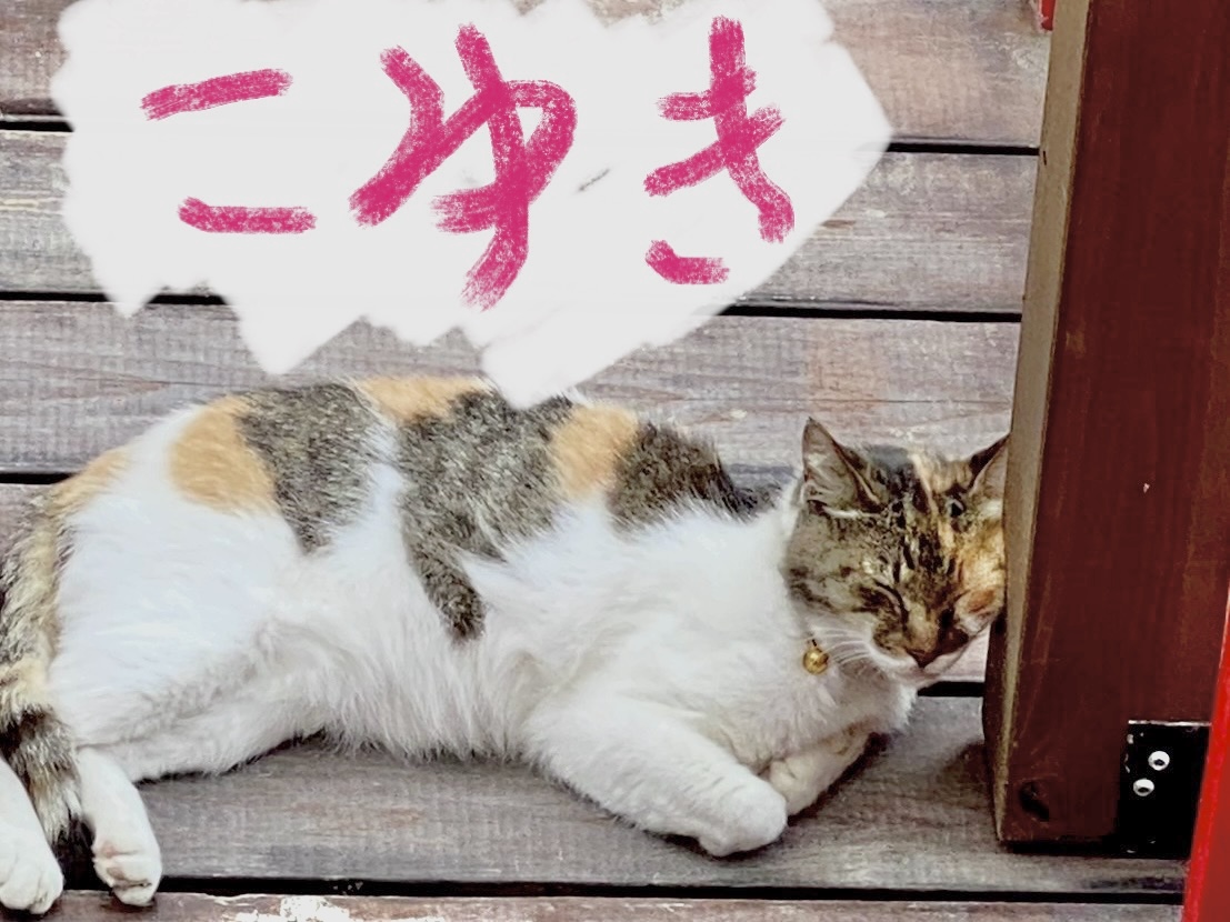 「こゆきちゃん」