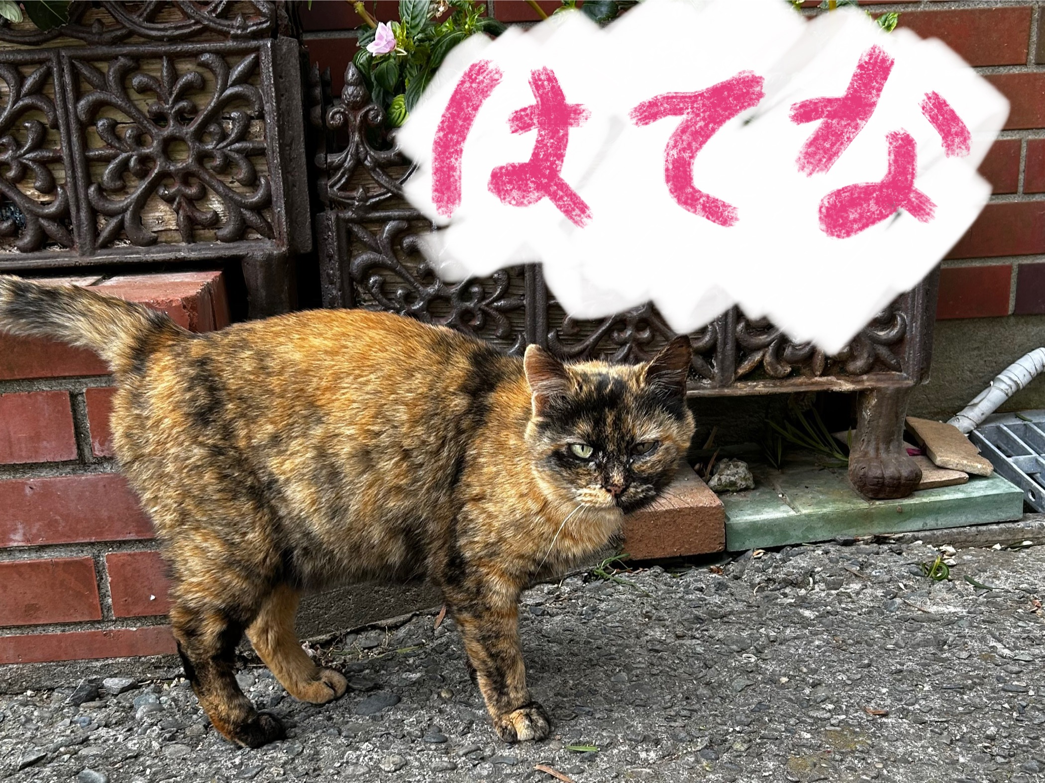 「はてなちゃん」