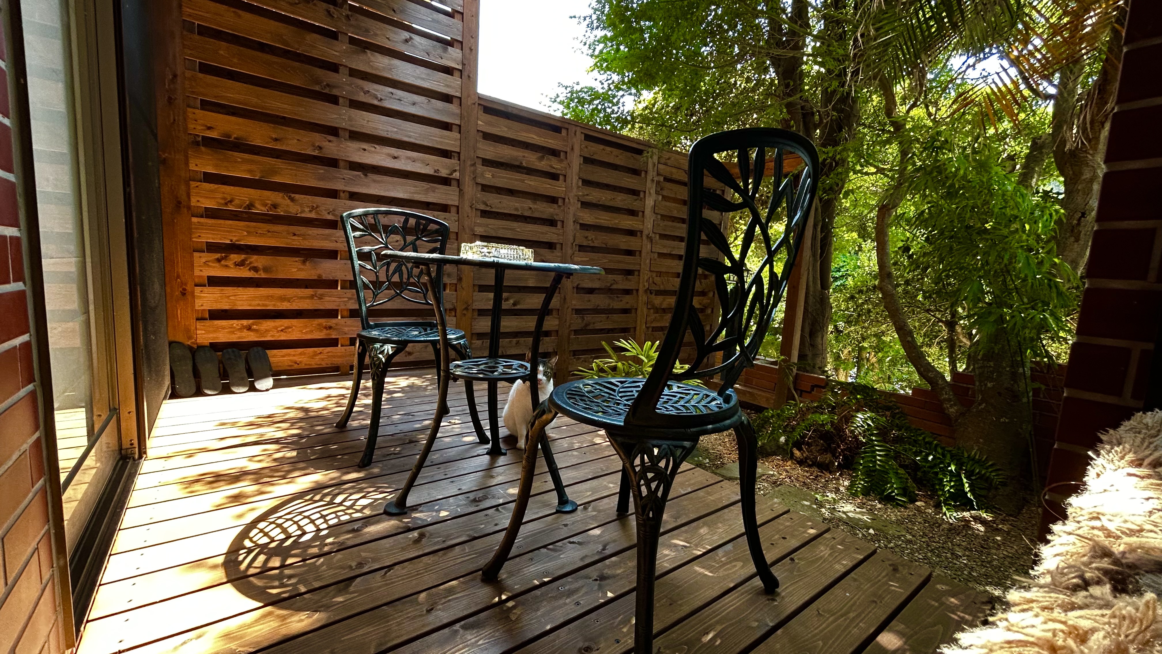 月酔い　猫とテラス