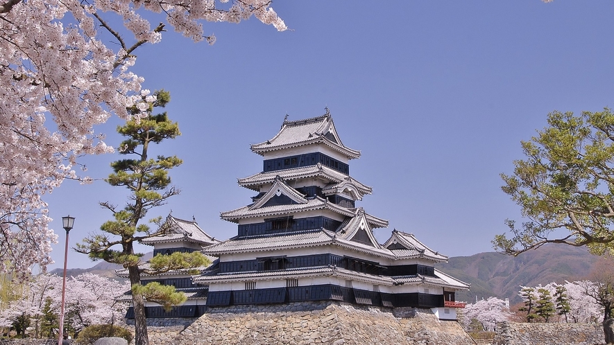 松本城の桜