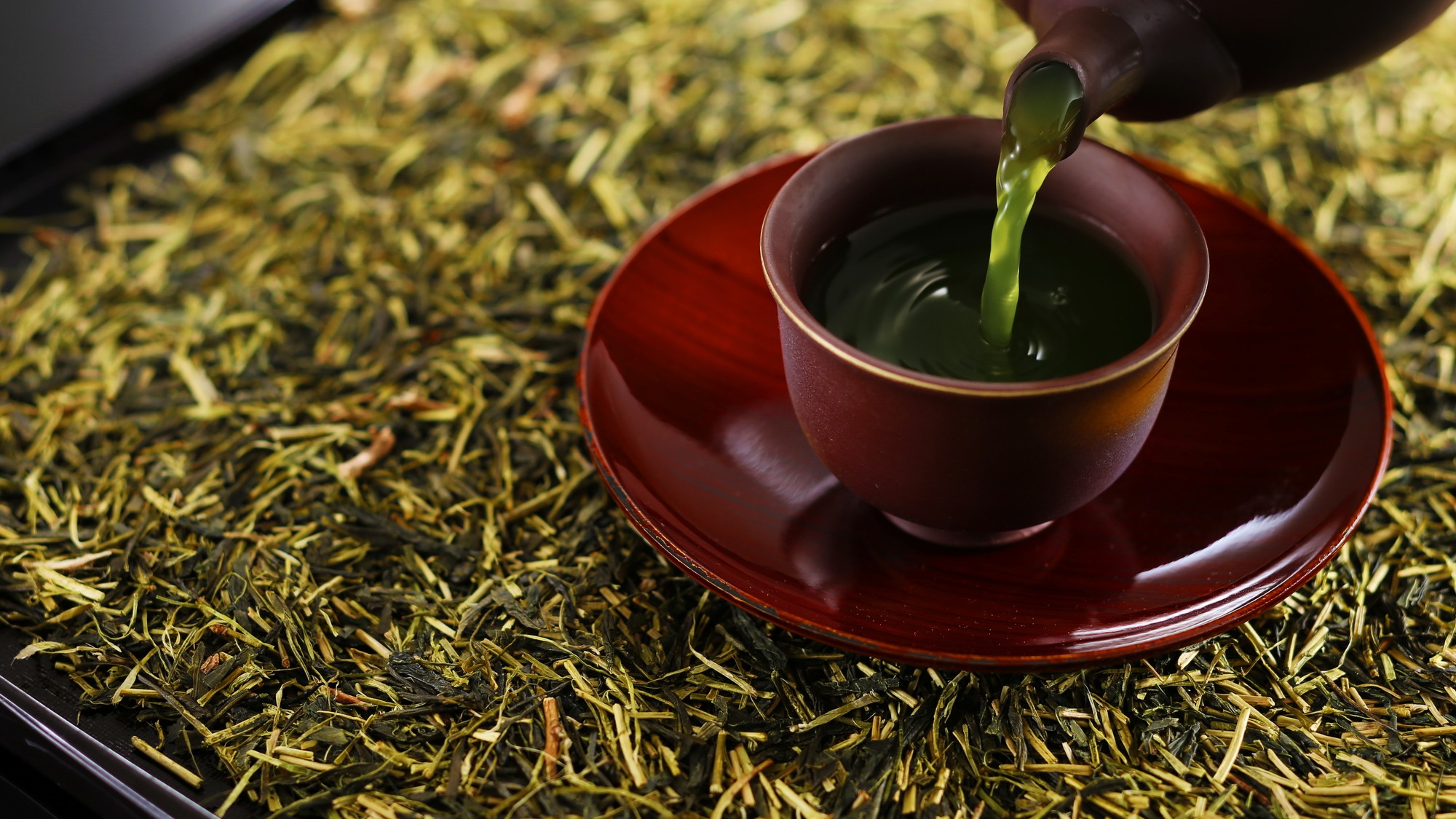 伊勢茶フェスタ開催♪