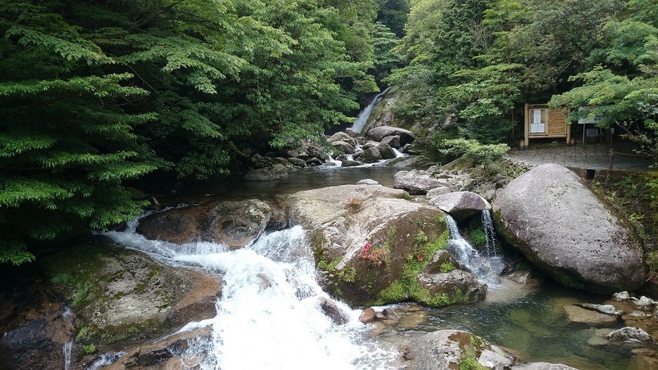 【南の宝箱 鹿児島】【四季の味】屋久島の海の幸・山の幸も堪能できる季節料理を日替わりで♪