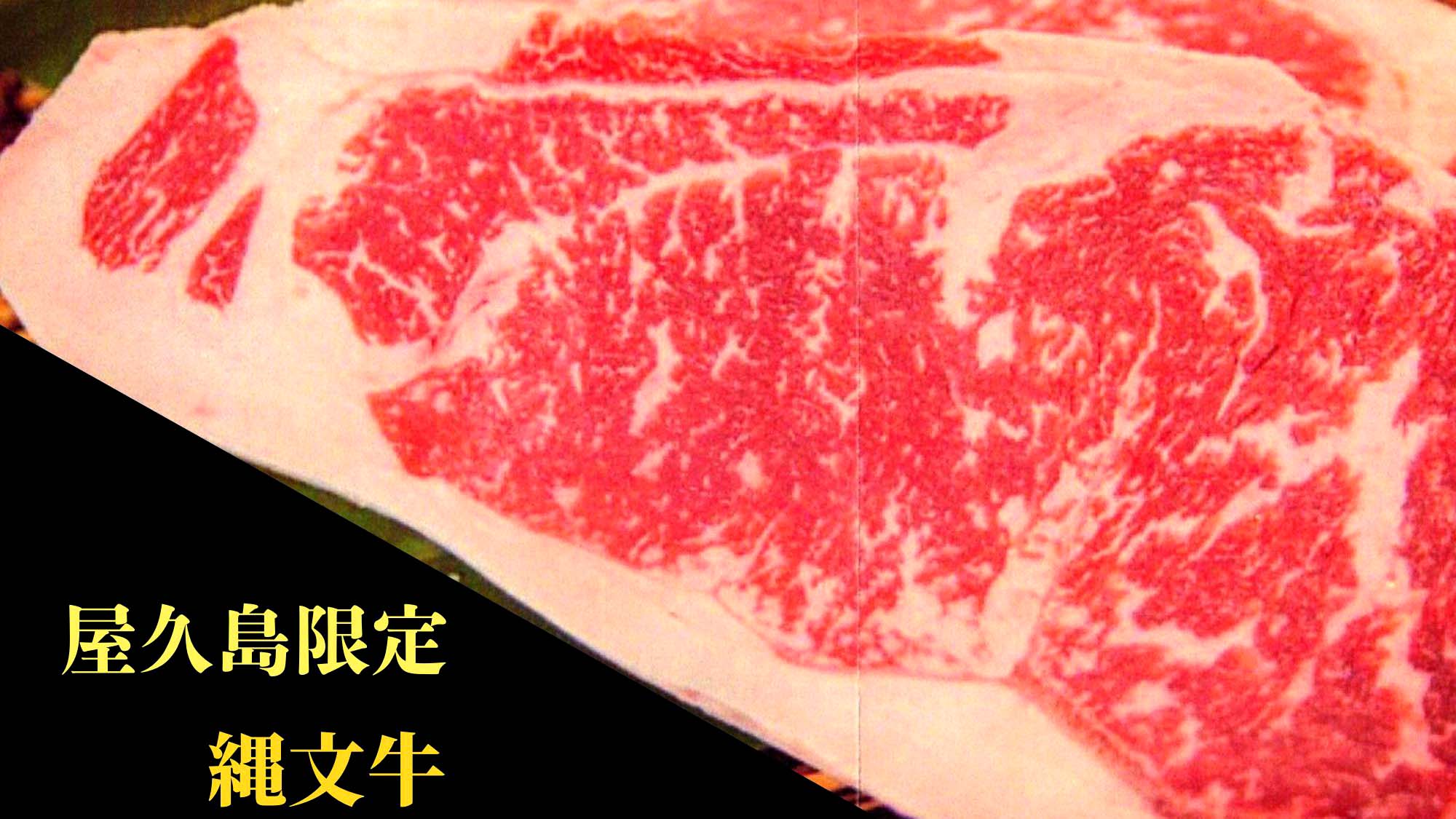 屋久島限定・縄文牛