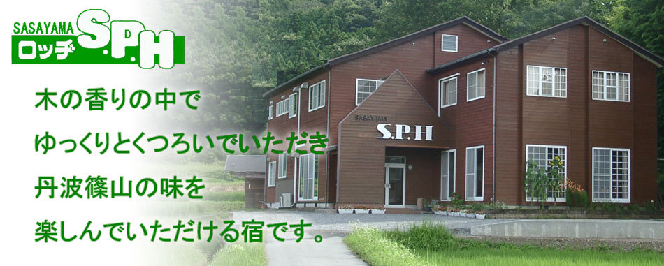 写真1