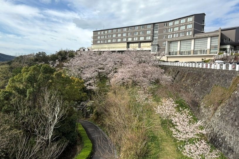 4月5日現在　　桜情報