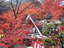 京王プラザホテル八王子 - 写真 115